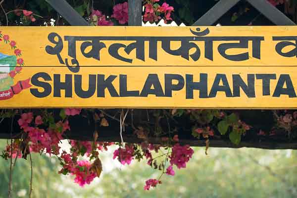 Shuklaphanta National Park