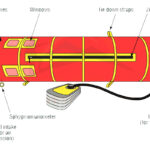 Gamow Bag Rental in Nepal